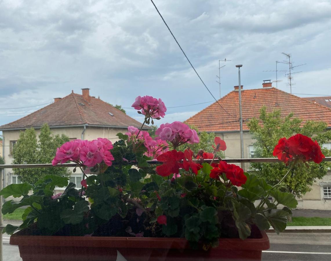 Apartman Cvjetnjak Чаковец Экстерьер фото